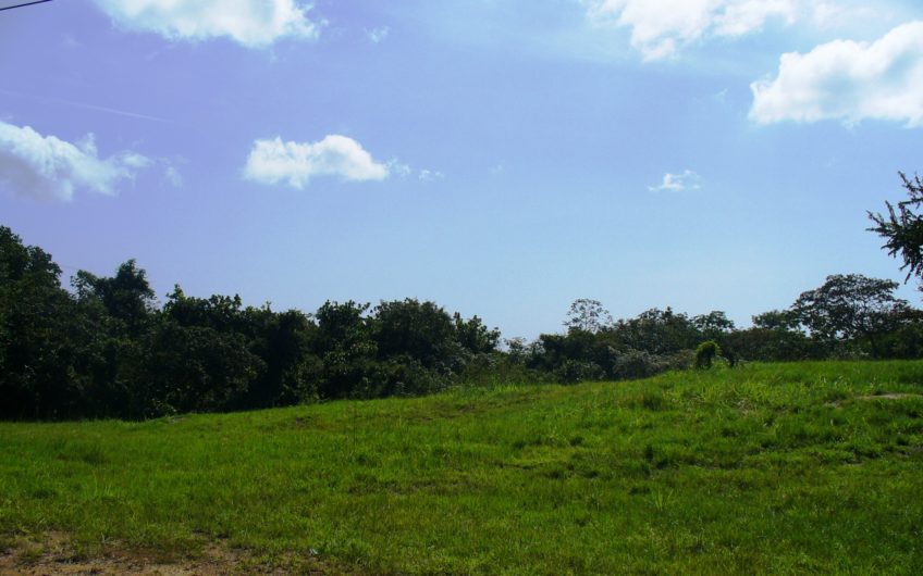 Terreno en Punta Barco 38 hectáreas